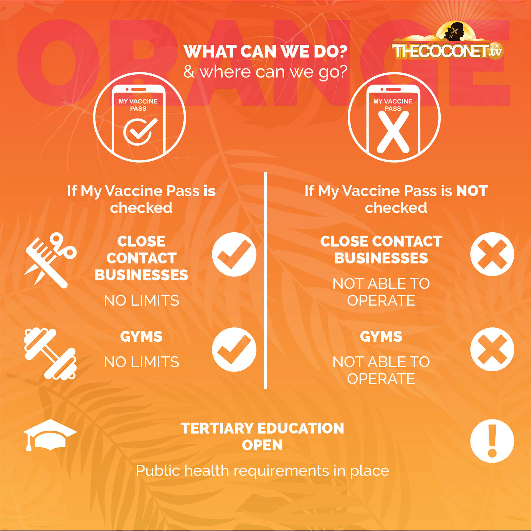 Covid19 Protection Framework aka Traffic Lights — The world’s largest hub of